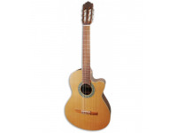 Paco Castillo 220 CE Equalizador Cutaway Cedro Sapele Paco Castillo 220 CE Equalizador Cutaway Cedro Sapele